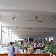 苍南县捷登工艺礼品厂 匠心独运，装饰生活的艺术